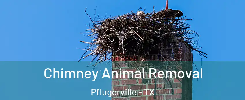 Chimney Animal Removal Pflugerville - TX