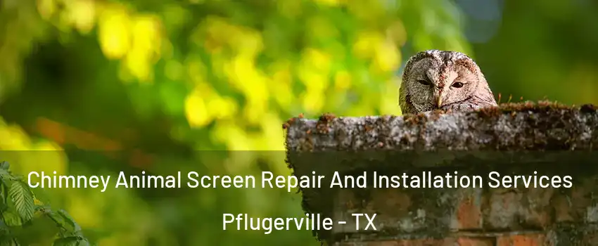  Chimney Animal Screen Repair And Installation Services Pflugerville - TX