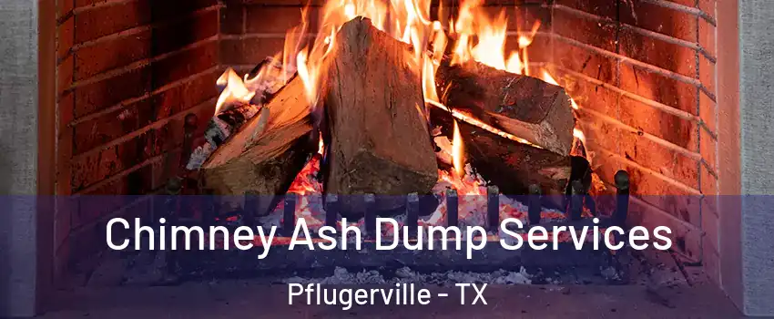  Chimney Ash Dump Services Pflugerville - TX