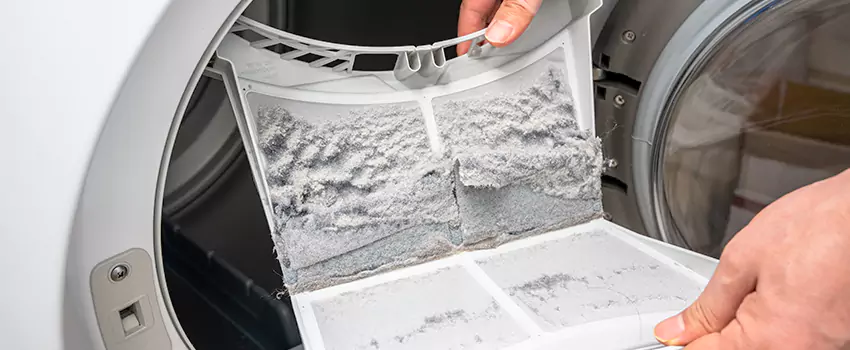 Best Dryer Lint Removal Company in Pflugerville, Texas