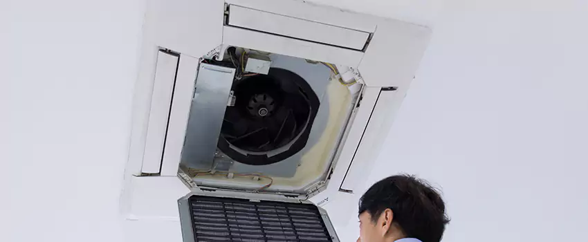 Benefits of Professional Air Duct Cleaning in Pflugerville, Texas