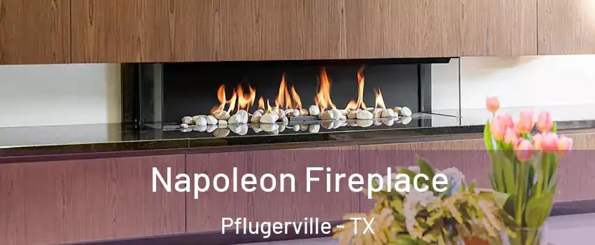  Napoleon Fireplace Pflugerville - TX